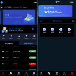 全新UI五种语言微盘系统/出海版理财系统/外汇投资理财/虚拟币USDT充值
