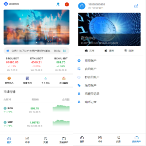 TeEx多语言交易所/USDT秒合约/杠杆/C2C法币交易/vue前端全开源