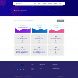 多语言海外版投资理财系统/投资分红系统/虚拟币投注系统