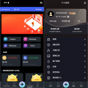 2022全新UI多语言抢单系统/抢单刷单源码/订单自动匹配系统