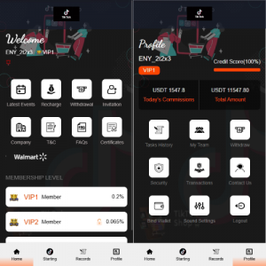 海外TIKTOK抢单刷单系统/连单卡单/前端VUE