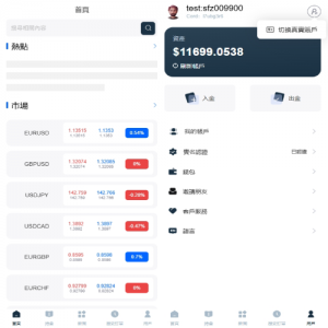 海外FX6系统/多语言外汇虚拟币合约交易/K线控制